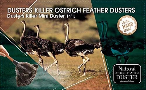 12 Pack Retractable Feather Duster (12 to 16 Inches)