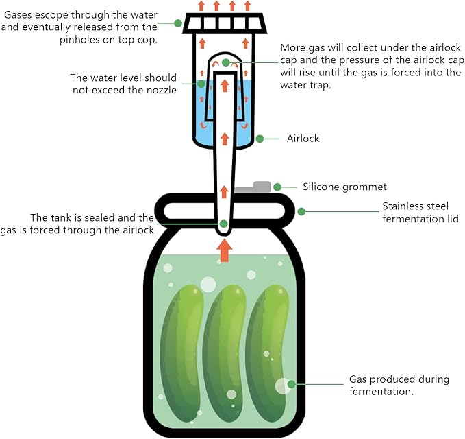 Artcome 2 Pack 1 Gallon Fermentation Jars with Airlocks & Lids - Transform Gallon Jar Into a Fermenter - Perfect for Pickles, Hard Kombucha, Beer, Wine, Cider - Gallon Lid with Econolock Airlock