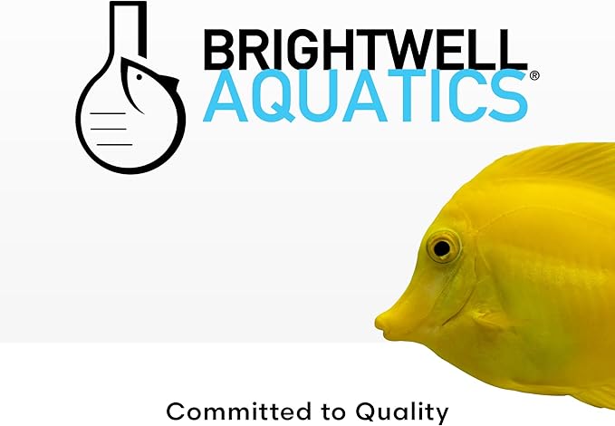 Brightwell Aquatics MicroBacter Start XLF - Concentrated Freshwater Nitrifying Bacteria - Quick Start Fish Tank Starter, Lift Microbe Levels & Water Filtering - Aquarium Water Treatments, 8.45 fl oz