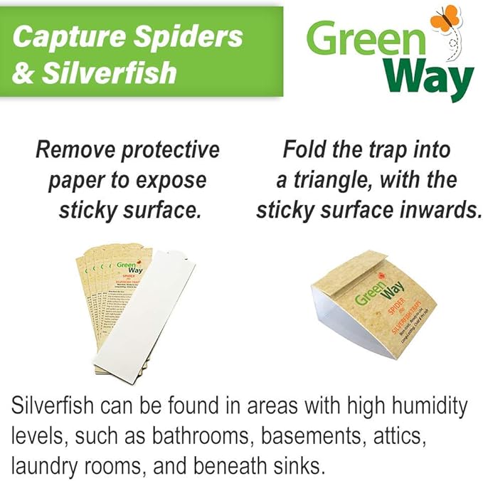 Greenway Silverfish Traps and Spider Traps (72 Traps) - Spider Traps for Inside Your Home and Silverfish Trap