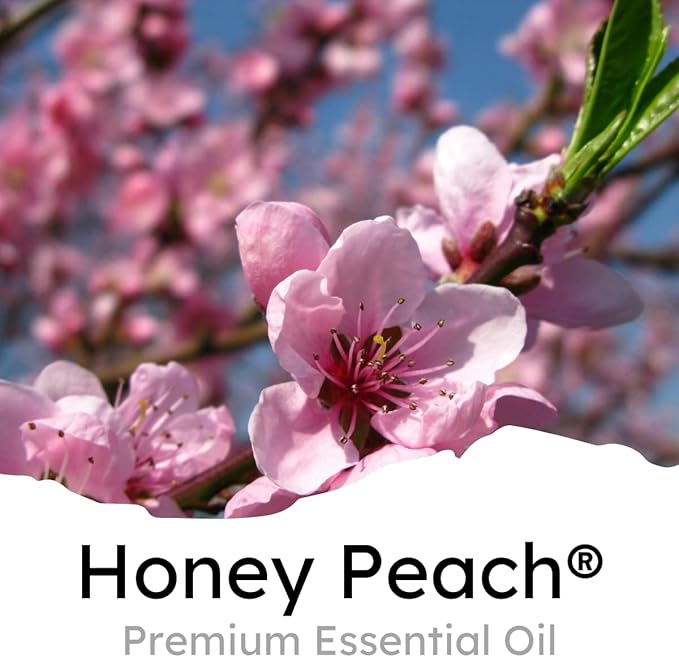 Air Jungles Honey Peach Scent Car Air Freshener Bundle – 3-in-1 Odor Eliminator Balls (6 Count), Vent Clip (3 Count), and Car Clip Pack (6 Count) – Long-Lasting Freshness for Cars, Closets, Gym Bags