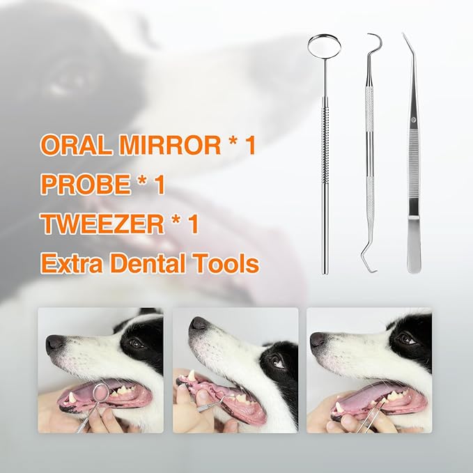 TroisAmis Dog Ultrasonic Plaque Remover for Teeth, Tooth Scaler for Dogs, Dog Teeth Cleaning Kit - Teeth Cleaner with LED Light,Canident Dog Tartar Remover, Electronic Dog Toothbrush, Protect Gums