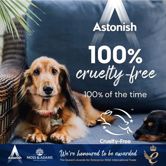 Astonish Sparkling Bathroom Bundle - Includes Daily Shower Shine Cleaning Spray (White Lilies Scent), Ultimate Limescale Remover (Cool Eucalyptus) & Streak Free Foaming Bathroom Cleaner (750ml each)