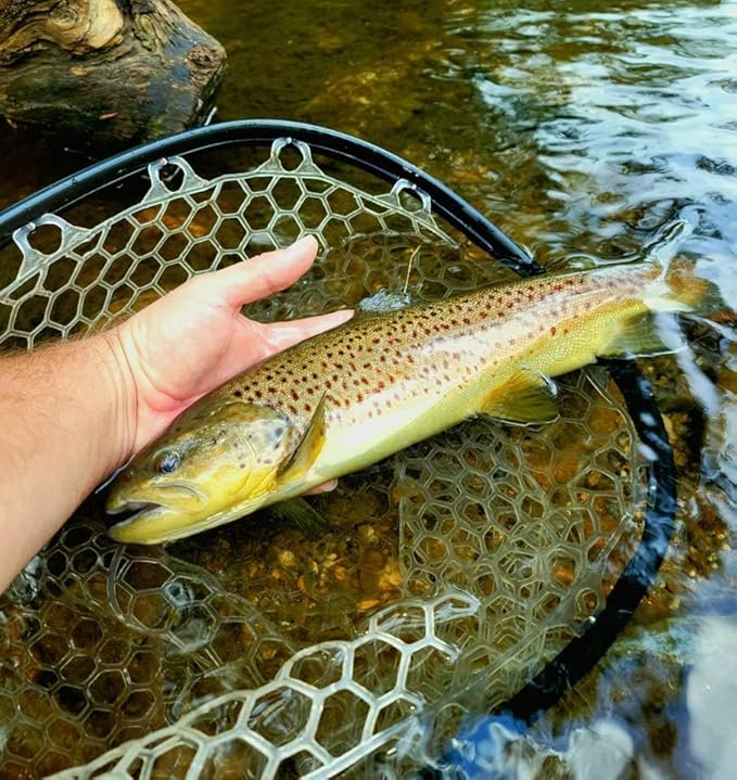 Aventik Fly Floating Fishing Net Carbon Fiber Landing Trout Net Light Weight Clear Rubber Ghost Net Catch & Release