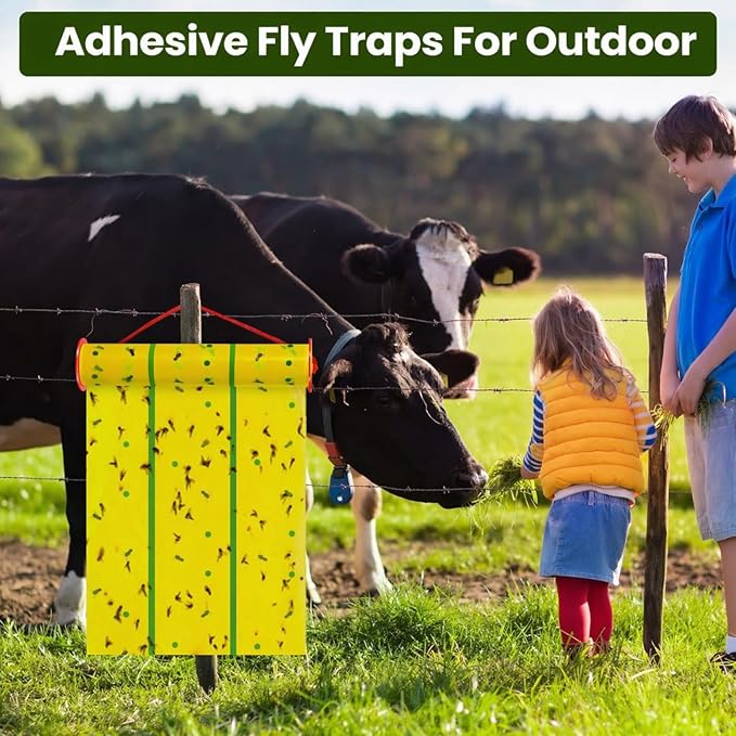 Qualirey Giant Sticky Fly Traps, Fly Strips for Indoor Outdoor Hanging Flying Tapes Non Toxic Ribbon Fruit Gnat Killer for Mosquito Plants House Horse Stable(30 ft,Yellow and Green,10 Pcs)
