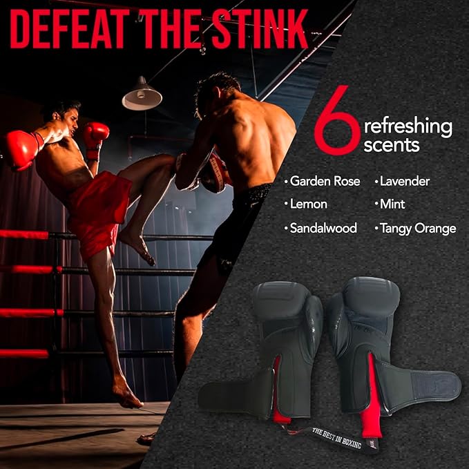 Ringside Equipment Deodorizer, Absorbs Unwanted Moisture, Odor Eliminator for Gym Bag, Bowling Bag, and Boxing Gloves, Shoe Deodorizer for Boxing and All Sports, Boxing Equipment, Sandal Wood