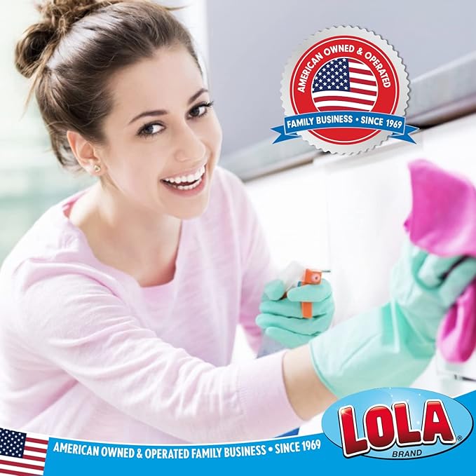 LOLA Microfiber Terry & Nylon Net Sponge Scrubber Pad, 2 Pack, Non Scratch 2-Way Cleaning, Gently Scrubs & Wipes Clean