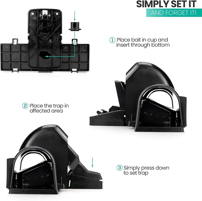eXuby Pet-Safe & Child-Safe Rat Traps w/Tunnel Design – Dual Entry for Better Capture Rate - No Harmful Poison - Prevents Accidental Triggering - Avoid Finger Snapping - Setup in Seconds. (1 Pack)