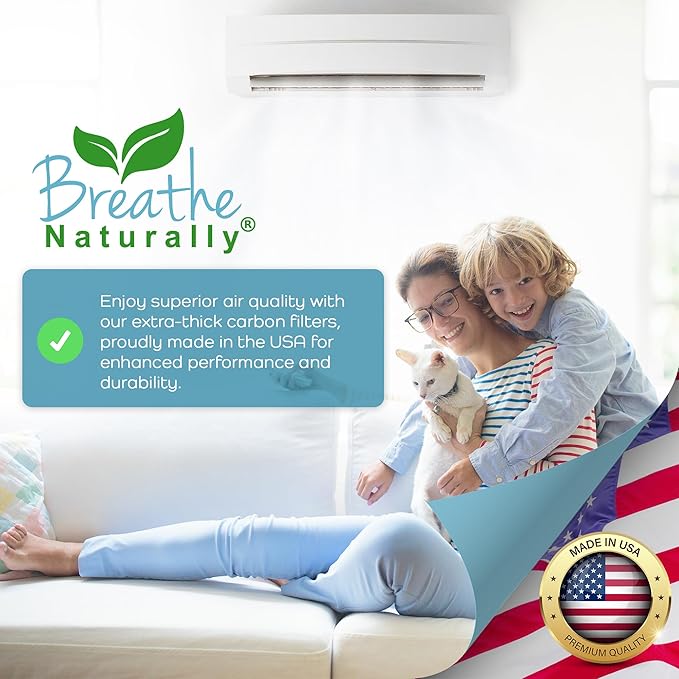 Breathe Naturally Universal Cut To Fit Activated Carbon Air Filter - Replacement Charcoal Air Filters - Carbon Filter Sheet for Air Purifier, Vent Filters & More - Made in USA (Pack of 1, 12x48)