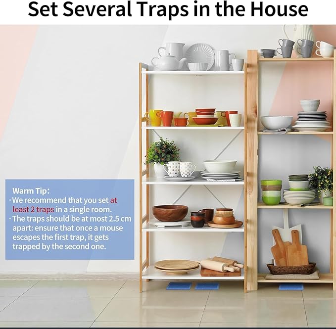 LULUCATCH Mouse & Insect Traps 20 Pack, Heavier Sticky Traps with Non-Toxic Glue for Small Mice & Insects. Sticky Mouse Traps Indoor for Home, Easy to Set