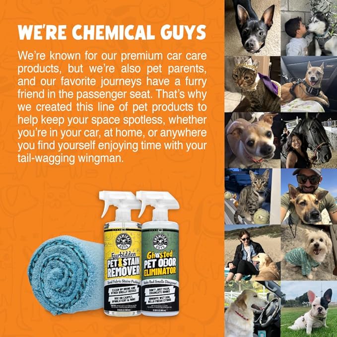 Chemical Guys Pets Bundle, Car Interior Cleaning Kit for Dog and Cat Owners with Furbidden Pet Stain and Odor Remover, Interior Detailing Brush, and Microfiber Towel for Cars, Trucks, and SUVs