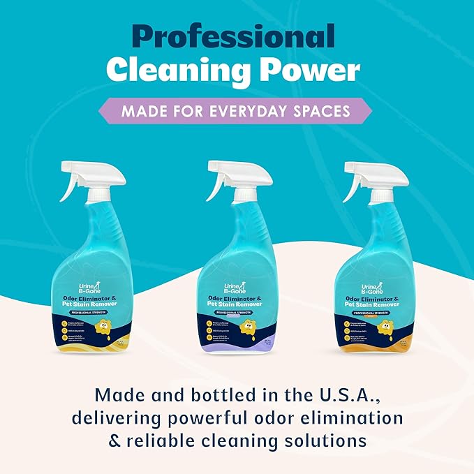 Urine B-Gone, Professional Enzyme Odor Eliminator & Pet Stain Remover, Human, Cat & Dog Urine Cleaner, Effective on Laundry, Carpets & More, Lavender Scent, 32oz