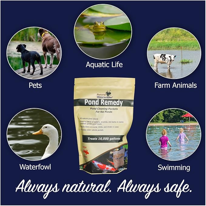 Natural Waterscapes Pond Remedy | Koi Pond Cleaning Packets | Treats up to 16,000 gallons