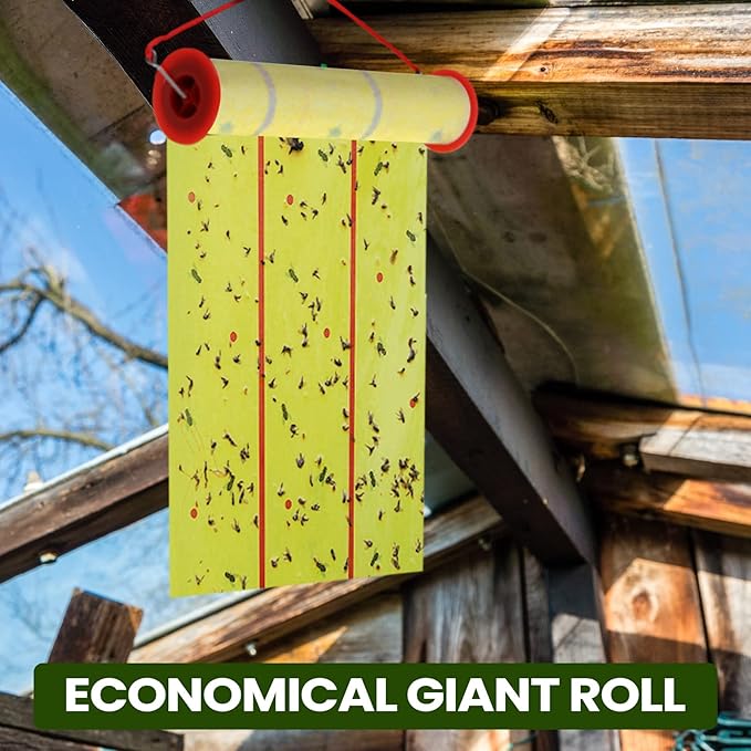 Qualirey Giant Sticky Fly Traps, Fly Strips for Indoor Outdoor Hanging Flying Tapes Non Toxic Ribbon Fruit Gnat Killer for Mosquito Plants House Horse Stable(30 ft,Yellow,5 Pcs)