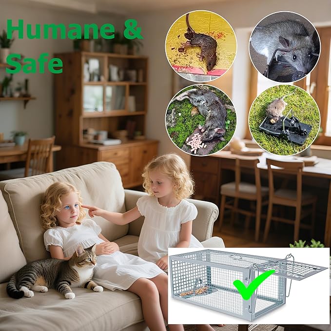 Humane Rat Traps 2-Pack, No Kill Small Animal Cage Trap, Live Mouse Trap Cage Catch and Release, Trampa para Ratones, Chipmunk Rodent Trap that Work for Indoor and Outdoor - 10.6" L x 5.5" W x 4.7" H