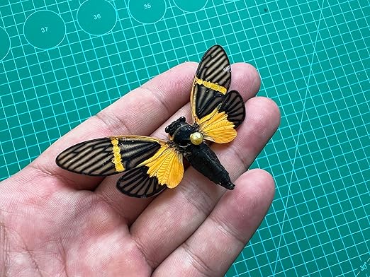 Real Cicada Beetle Spcimen Preserved Dried Insect Dead Bug Unmounted Raw Oddity Taxidermy Entomology Artwork Creepy Aesthetics Spooky Curiosities Gothic Home Decor Wall Crafts VE80X4