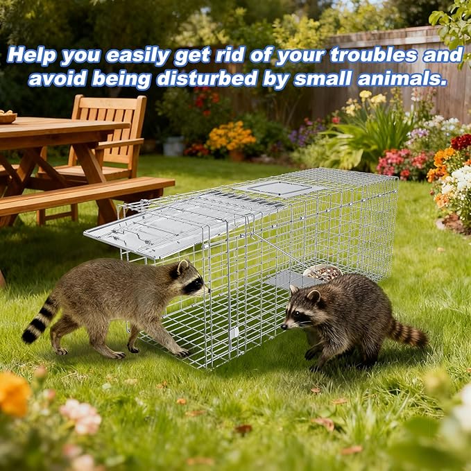 Humane Live Animal Trap, Heavy Duty Folding Raccoon Traps Cage for Cat, Squirrel, Skunk, Raccoon, Fox Catch and Release Large Size 31.1 * 11 * 12.6 Inch