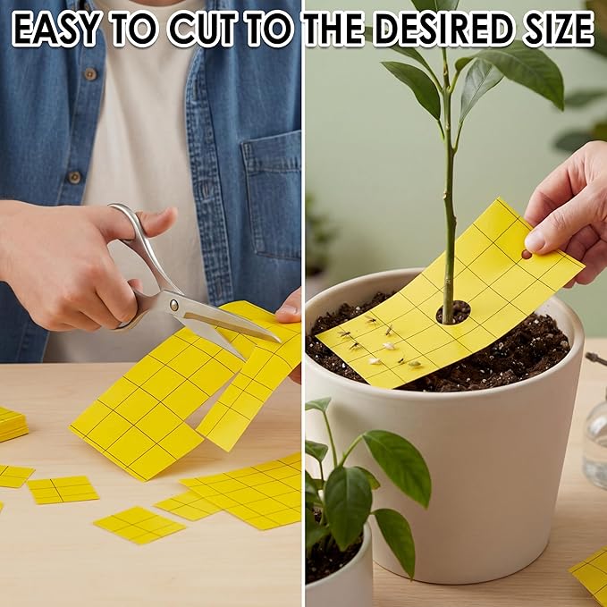 Qualirey 150 Sticky Trap for Gnats 3 x 5'' Dual Side Sticky Fruit Fly Trap with Tie Plant for Flying Insect Fungus Bugs Flying Catcher for Indoor (Yellow)