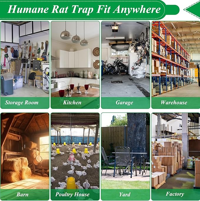 2 Packs Humane Rat Trap Outdoor, Wanqueen Humane Mouse Traps Indoor for Home, Small Rodent Chipmunk Trap and Other Live Animal Cage Catch and Release
