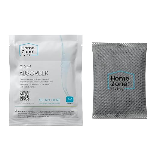 Home Zone Living CleanAura Deodorizing Bamboo Activated Charcoal Filter Bag Set of 4 (Pack of 4)