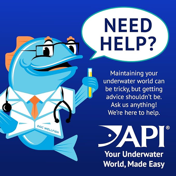 API POND ALGAEFIX (2.5 gallons) Pond Algae Control - Copper Free - Clean, Clear Water Up to 96000 Gallons - Safe for Fish, Plants - Water Gardens, Fountains - Natural Active Ingredient, EPA-Registered