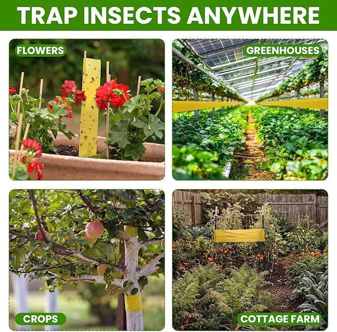 2 Rolls Double-Sided Yellow Sticky Tree Tape 2 Inch Wide x 330 Ft Spotted Lantern Fly Trap for Outdoor Indoor Trees Fruit Plants Gardens Pest Control for Aphids Ants Moths
