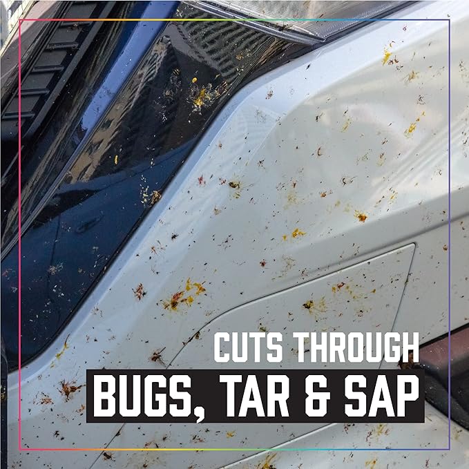 Seymour 20-31 Bug and Tar Remover (17 oz.)