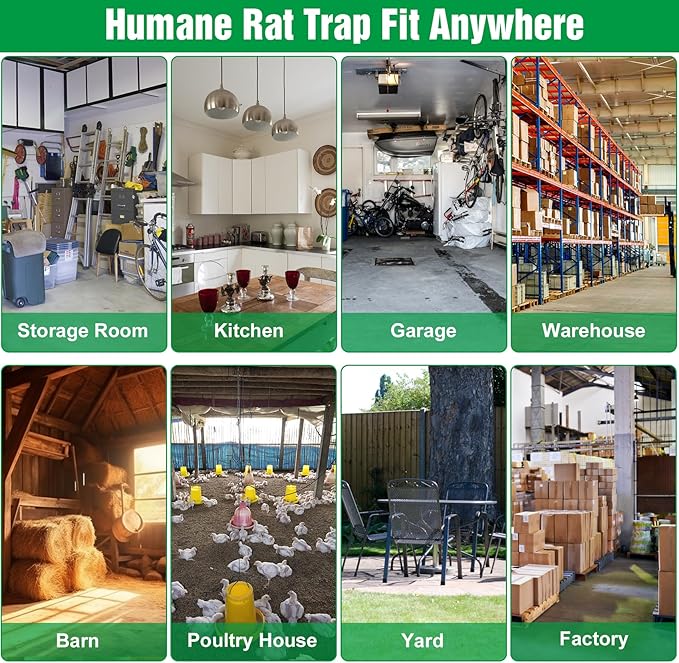 4 Packs Humane Rat Trap Outdoor, Wanqueen Humane Mouse Traps Indoor for Home, Small Rodent Chipmunk Squirrel Trap and Other Live Animal Cage Catch and Release