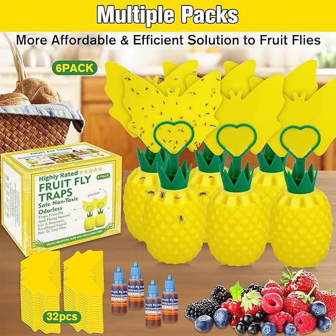 Fruit Fly Trap for Indoors, Effective Fruit Fly Catcher Gnat Killer with Sticker, Gnat Traps for House Indoor with Bait, Non-Toxic Reusable Easy to Use Fly Trap for Kitchen Home - 6 Pack