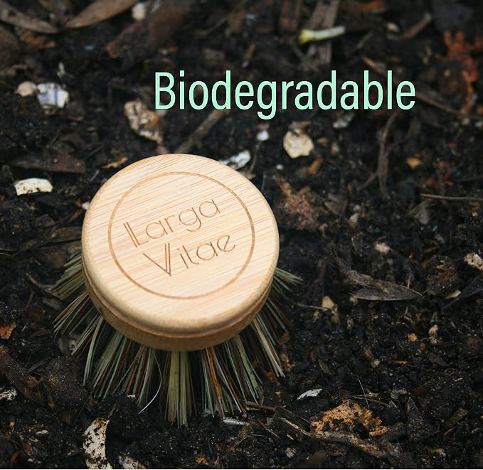 6 pcs Wooden Dish Brush Replacement Heads Made of Renewable Bamboo Wood and Natural Bristle Fiber, Durable, Long Lasting (Palm/Coconut Fiber Bristles)