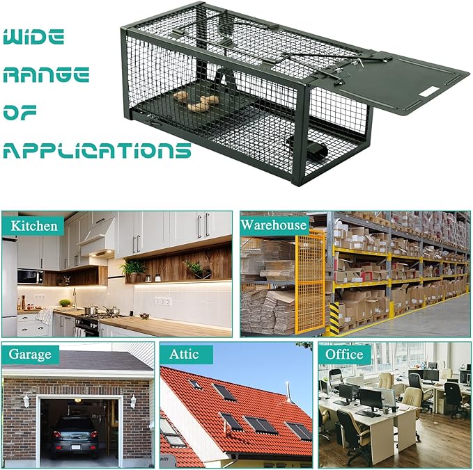 Qualirey 2 Pcs Live Rat Trap Humane Mouse Trap Mice Rat Cage Work for Small Animal Indoor and Outdoor Mouse Voles Hamsters Catch and Release(Green)