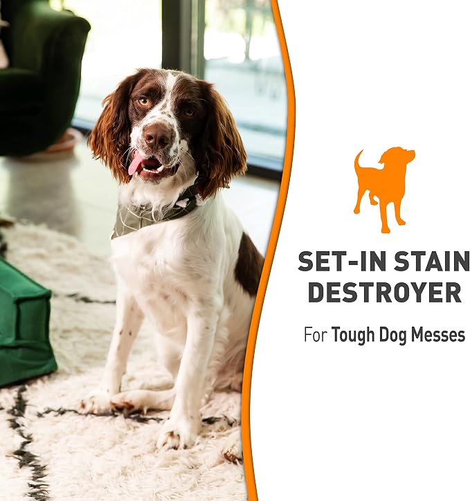 Nature's Miracle Advanced 128oz Dog Stain & Odor Remover and Set-In Stain Destroyer Bundle