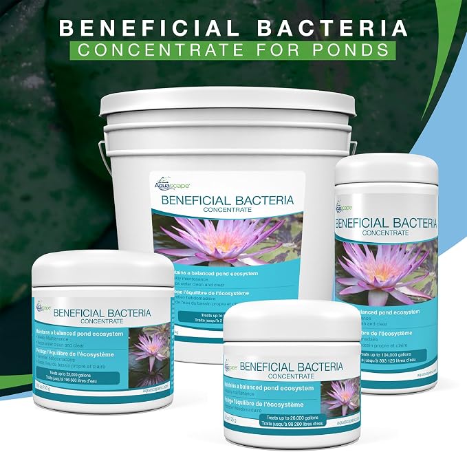 Aquascape Dry Beneficial Bacteria for Pond and Water Features, 4.4-Ounce | 98925,White