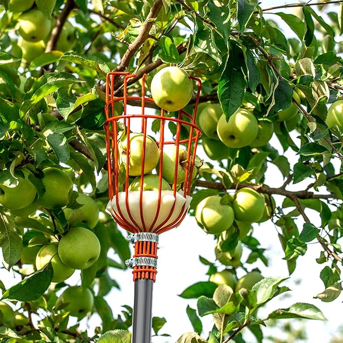 Walensee 8FT Fruit Picker Pole Tool with Large Basket, 35-95 Inch Adjustable Mango Picker, Durable Cherry Picker for Tree, Fruit Catcher for Avocado Pear Lemon Orange Apple