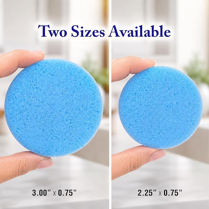 Goddard's 2.25 Inch Round Sponge Applicator, Pack of 6
