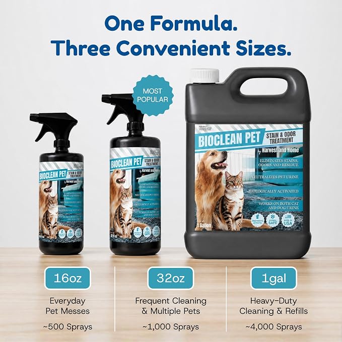 Bioclean Pet Carpet Cleaner & Deodorizer – Eliminates Pet Urine Smell, Stain & Odor Remover, No Residue, Made in USA – 16oz