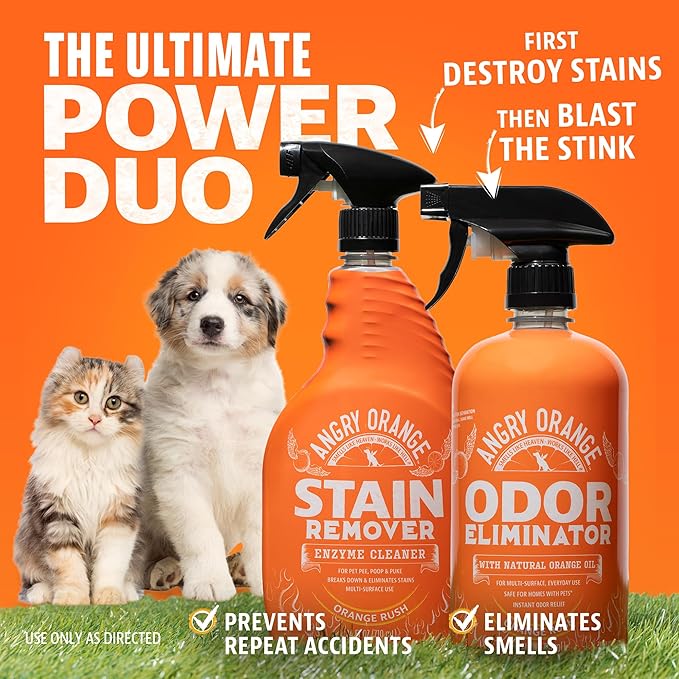 ANGRY ORANGE Pet Odor & Stain Remover - Orange Rush Scent - 24oz Odor Eliminator + 32oz Enzyme Cleaner for Dog & Cat Urine, Carpet Stains & Strong Smells