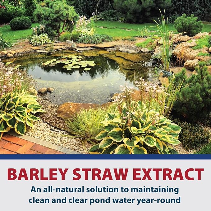 The Pond Guy Barley Extract Natural Liquid Treatment for Ponds and Water Gardens, Safe for Koi Fish and Plants, Natural Solutions for Clear Pond Water - 16 Ounces