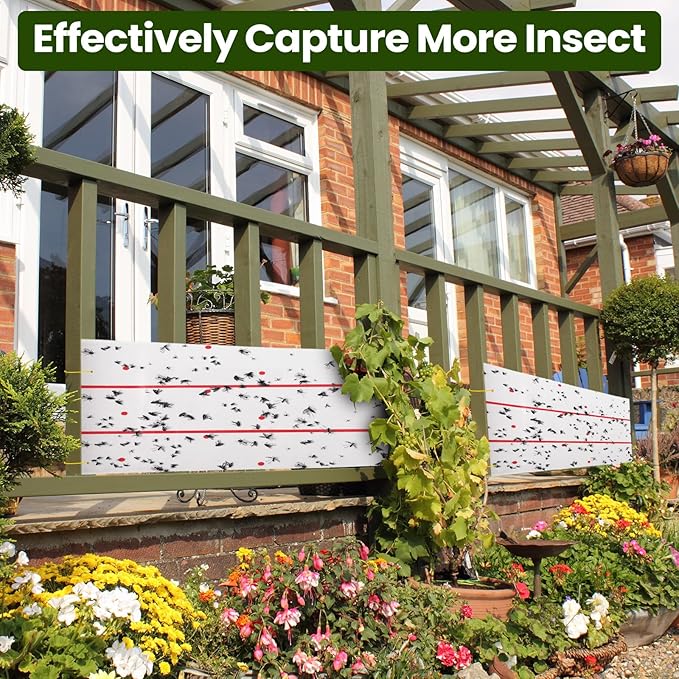 Qualirey Giant Sticky Fly Traps, Fly Strips for Indoor Outdoor Hanging Flying Tapes Non Toxic Ribbon Fruit Gnat Killer for Mosquito Plants House Horse Stable (30 ft,White,5 Pcs)