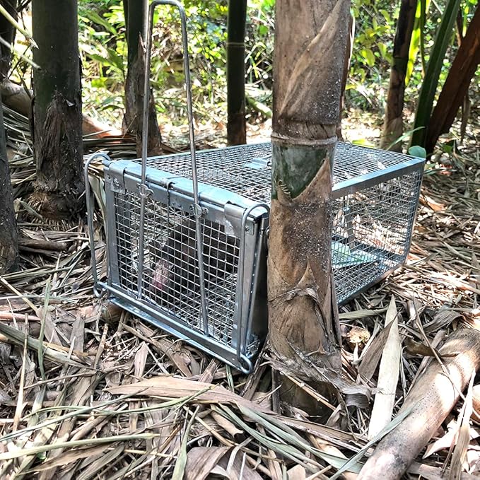 Gingbau Rat Chipmunk Trap Humane Live Mouse Vole Cage Trap