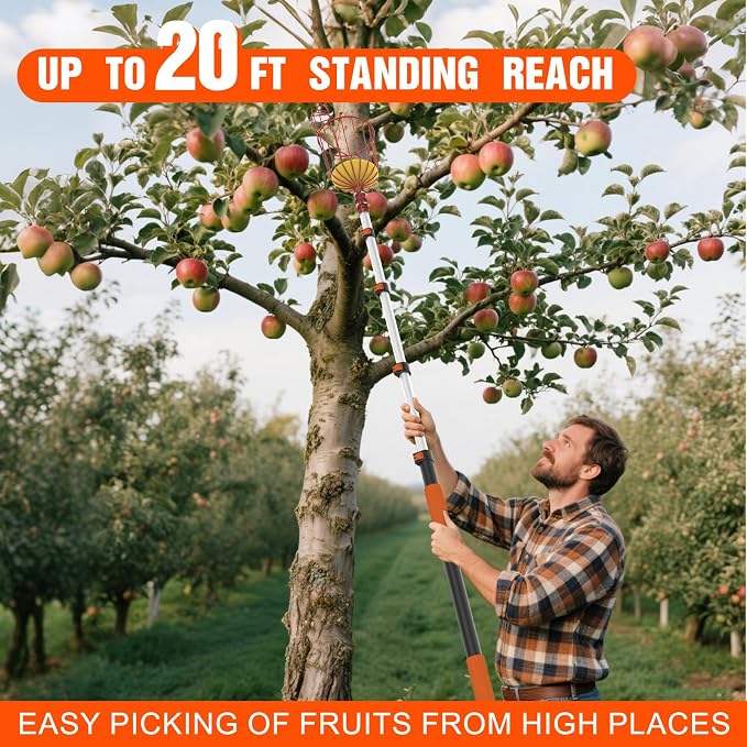 LAANPOLE 20FT Reach Fruit Picker Pole with Basket Telescoping, Apple Picker with 3-12FT Telescoping Pole for Apple Orange Lemon Mango Avocado Guava Fruit Picking