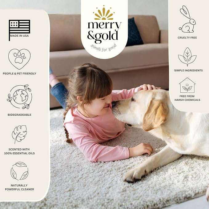 Carpet Deodorizer & Freshener Powder, Lemon + Mint, Shakers 16 oz | 2 Pack, Pet Odor Eliminator for Strong Odors & Pet Urine, Safe for Homes with Pets, Made in USA