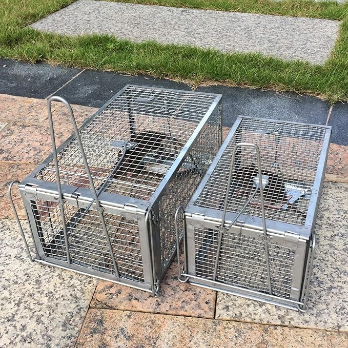 Kensizer 2-Pack Animal Humane Live Cage Trap that Work for Rat Mouse Chipmunk Mice Voles Hamsters and Other Small Rodents, Trampa para Ratones, Catch and Release