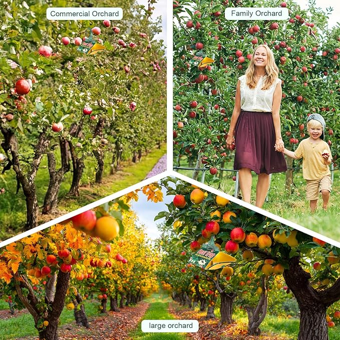 6 Pack Codling Moth Traps for Apple Trees with Pheromone Lures – Triangular Hanging Sticky for Apple Trees, Includes 6Traps & 6 Lures, for Orchard & Garden Use