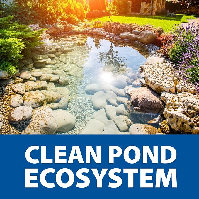 The Pond Guy Seasonal Defense, Spring & Fall Beneficial Bacteria, Barley & Enzymes, Cold Water Pond Sludge & Scum Treatment, Fish & Plant Safe, 96 Packets