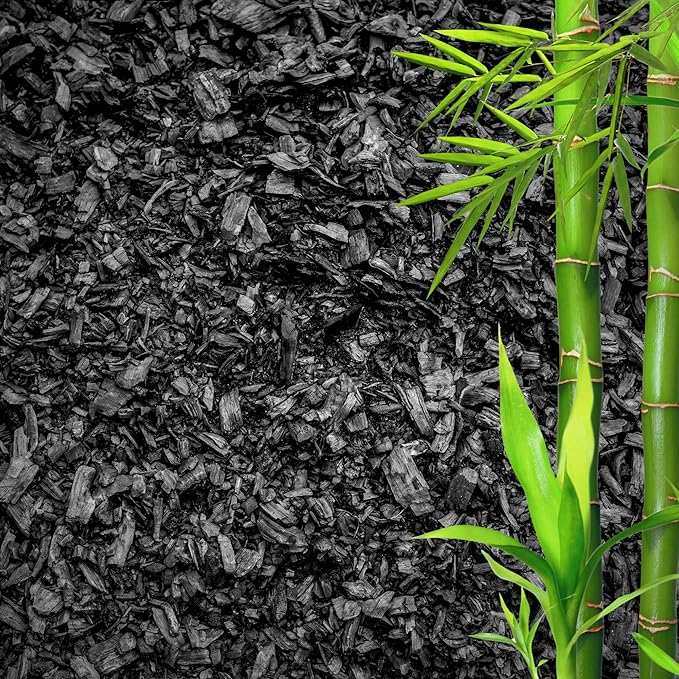 GARDENWISE Horticultural Charcoal for Plants β Organic Bio Char Soil Amendment for Terrariums, Indoor Plants & Gardening, Made in USA (20 quarts)
