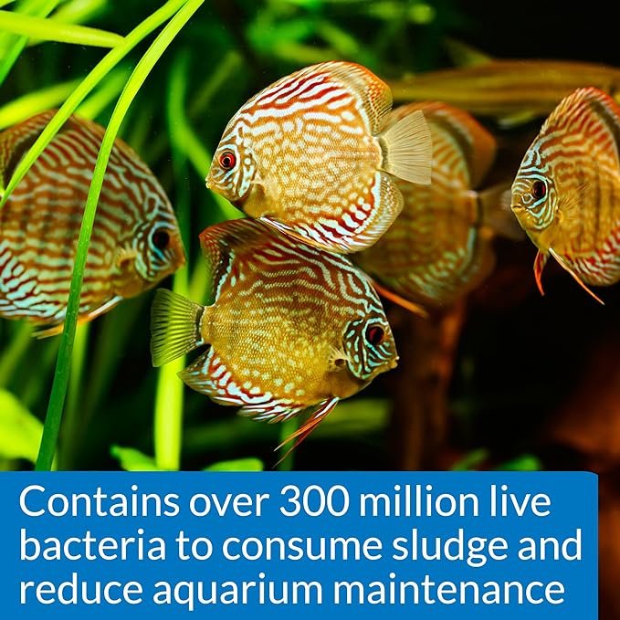 API Aquarium Cleaning and Water Care Solutions Bundle