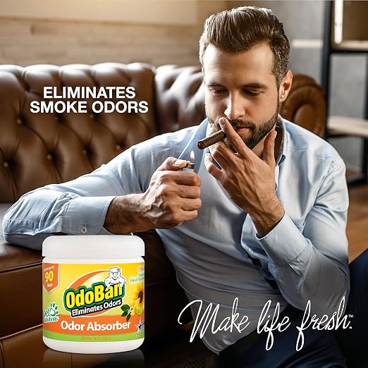 OdoBan Ready-to-Use Disinfectant and Odor Eliminator, Set of 3, 32 oz Spray, 1 Gallon Concentrate and 14 oz Solid Odor Absorber, Citrus Scent
