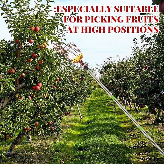 Colingmill 26ft Fruit Picker Pole with Basket, Telescoping Fruit Picking Tool with Soft Cushion, Extendable Harvester for High Trees, No Ladder Needed for Apple, Cherry, Orange, Citrus, Peach