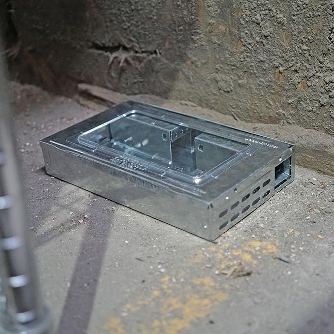 iTrap Multi-Catch Humane Mouse Trap with Clear Top | Repeater Mouse Trap for Home & Office | Set of 3 - iTrap-002-S4-3PK